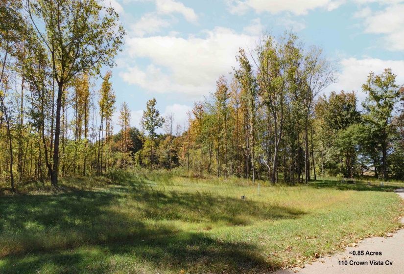 110 CROWN VISTA CV, Piperton, Tennessee 38017, ,Land,For Sale,CROWN VISTA,10134696
