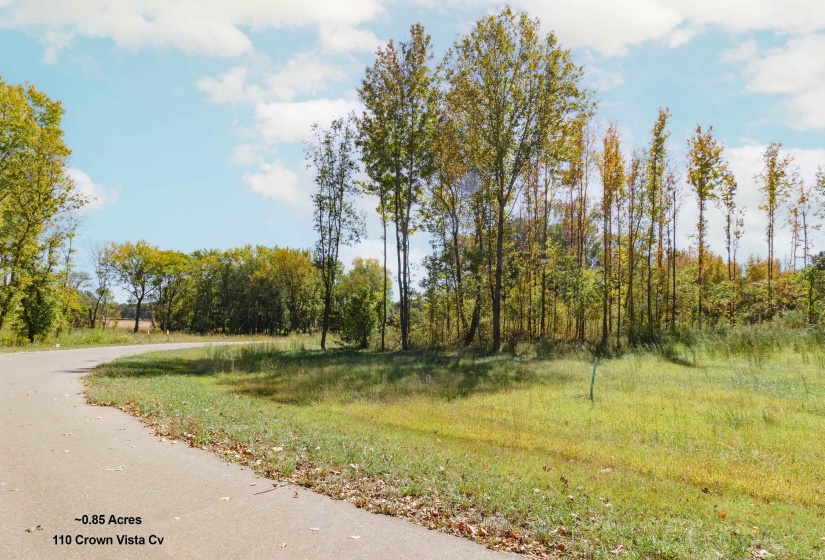 110 CROWN VISTA CV, Piperton, Tennessee 38017, ,Land,For Sale,CROWN VISTA,10134696
