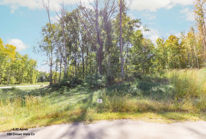 150 CROWN VISTA CV, Piperton, Tennessee 38017, ,Land,For Sale,CROWN VISTA,10134702