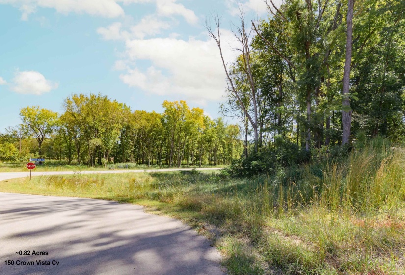 150 CROWN VISTA CV, Piperton, Tennessee 38017, ,Land,For Sale,CROWN VISTA,10134702