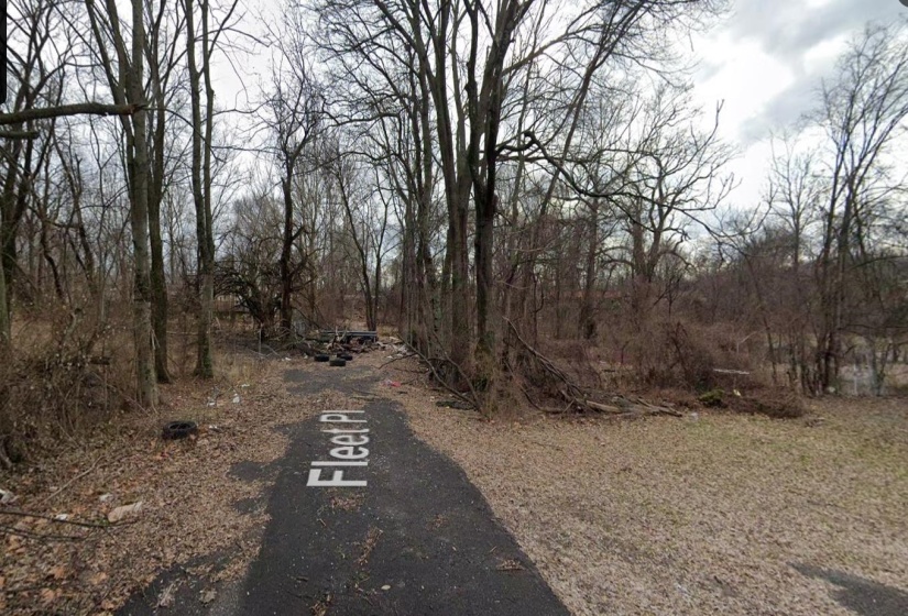 View of street with a wooded view