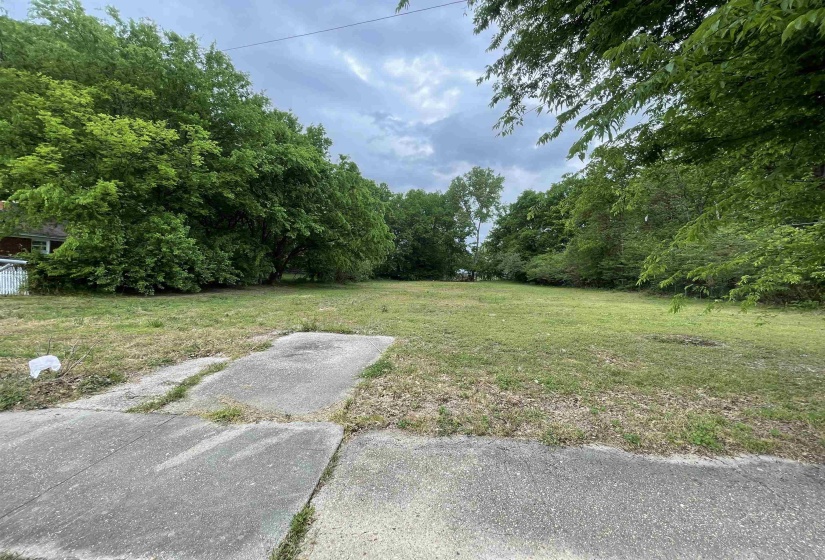 View of yard with a view of trees