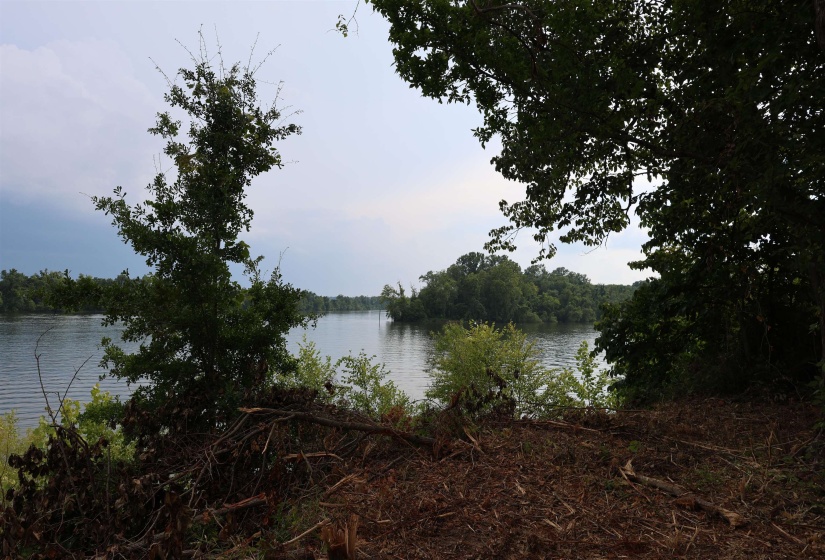 LOT 29 CATFISH LN, Crump, Tennessee 38327, 0 , 0 ,0,Land,For Sale,CATFISH,0,10195838