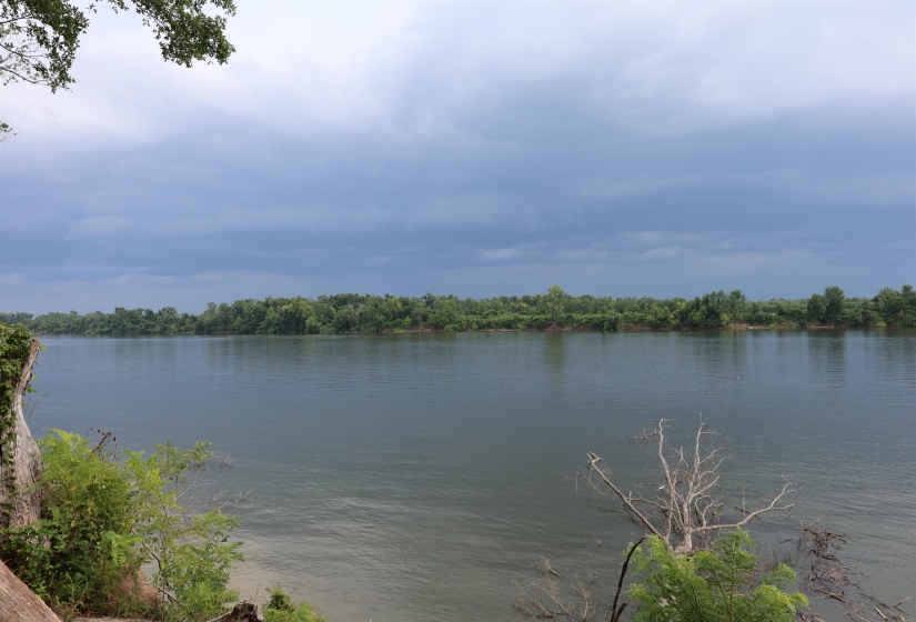 LOT 29 CATFISH LN, Crump, Tennessee 38327, 0 , 0 ,0,Land,For Sale,CATFISH,0,10195838