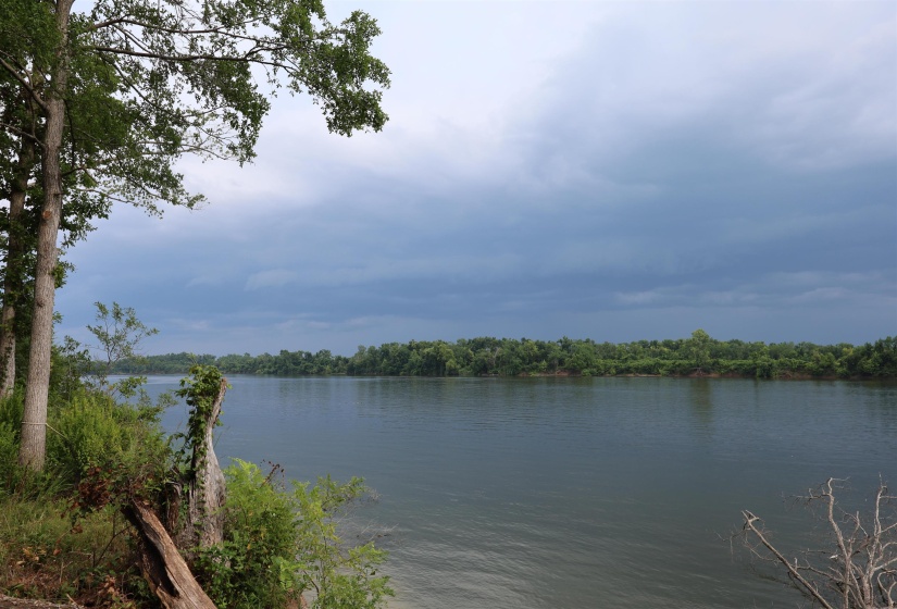 LOT 29 CATFISH LN, Crump, Tennessee 38327, 0 , 0 ,0,Land,For Sale,CATFISH,0,10195838