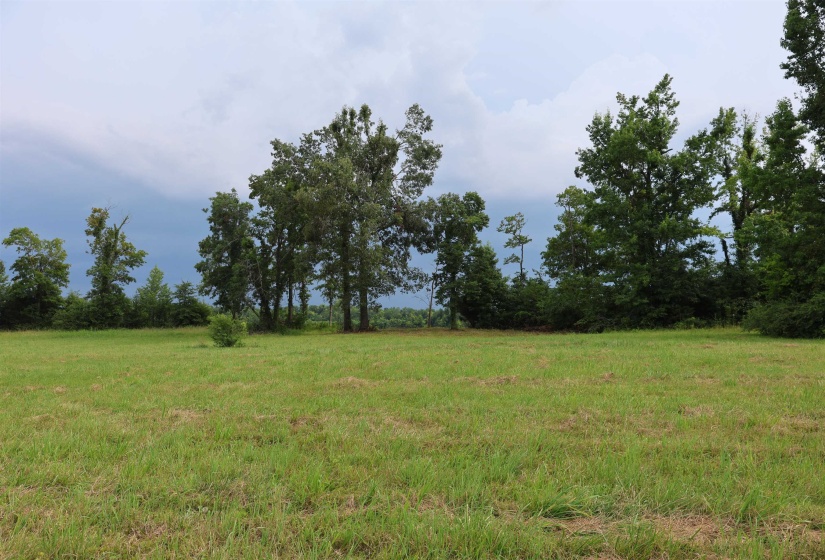 LOT 29 CATFISH LN, Crump, Tennessee 38327, 0 , 0 ,0,Land,For Sale,CATFISH,0,10195838