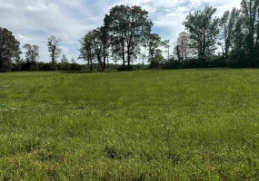 LOT 29 CATFISH LN, Crump, Tennessee 38327, ,Land,For Sale,CATFISH,10195838 LOT 29 CATFISH LN, Crump, Tennessee 38327, ,Land,For Sale,CATFISH,10195838
