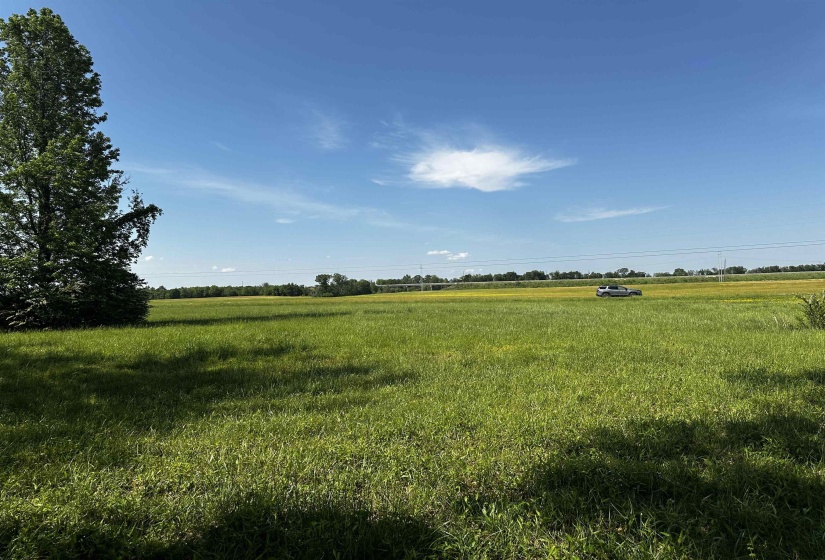 View of local wilderness with a rural view