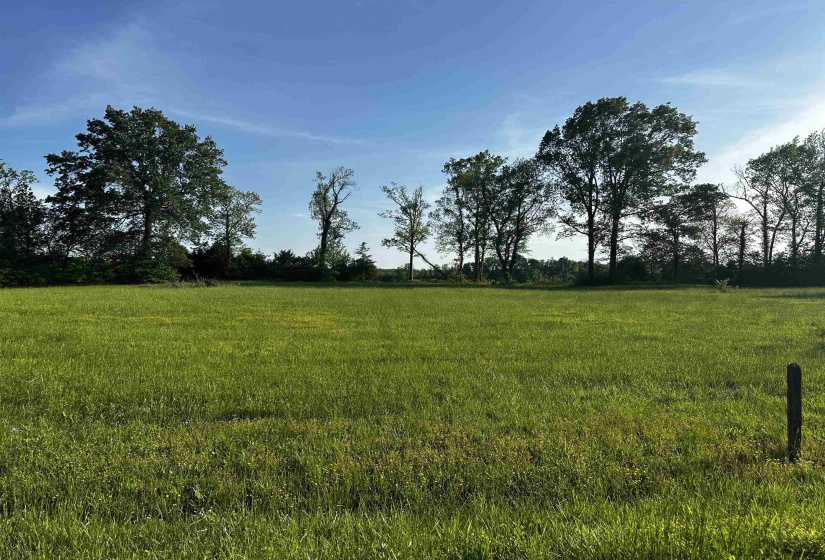 View of local wilderness with a rural view