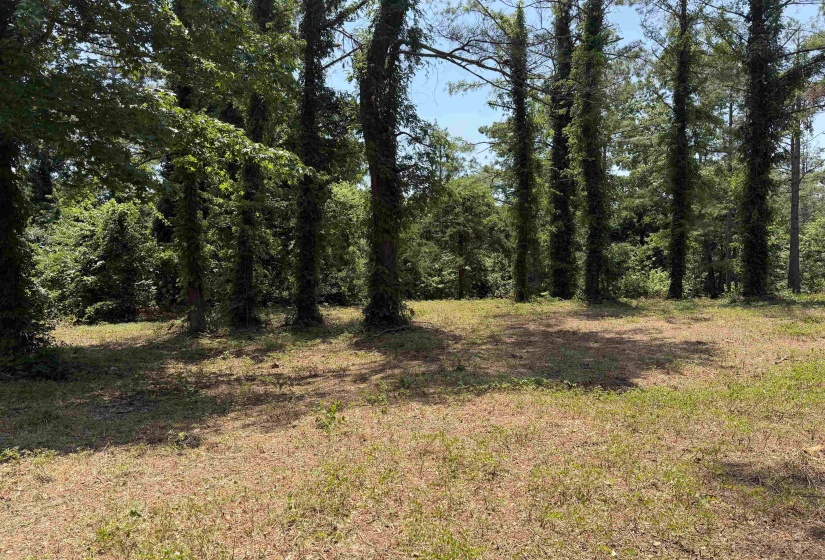 0 HIGHWAY 57 HWY, Michie, Tennessee 38357, 0 , 0 ,0,Land,For Sale,HIGHWAY 57,0,10195879