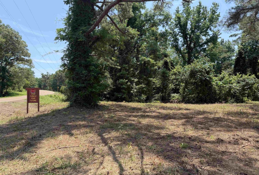 0 HIGHWAY 57 HWY, Michie, Tennessee 38357, 0 , 0 ,0,Land,For Sale,HIGHWAY 57,0,10195879