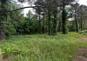 0 HIGHWAY 57 HWY, Michie, Tennessee 38357, ,Land,For Sale,HIGHWAY 57,10195879 0 HIGHWAY 57 HWY, Michie, Tennessee 38357, ,Land,For Sale,HIGHWAY 57,10195879