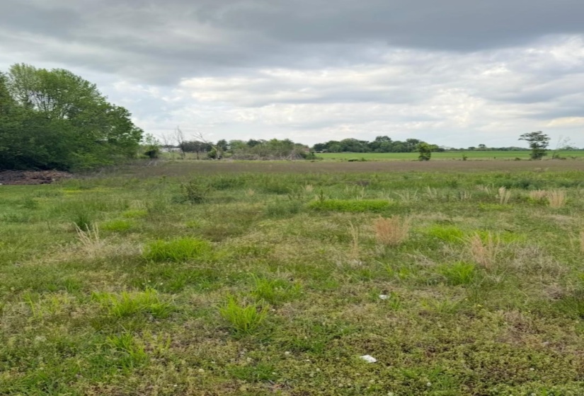 View of nature with a rural view