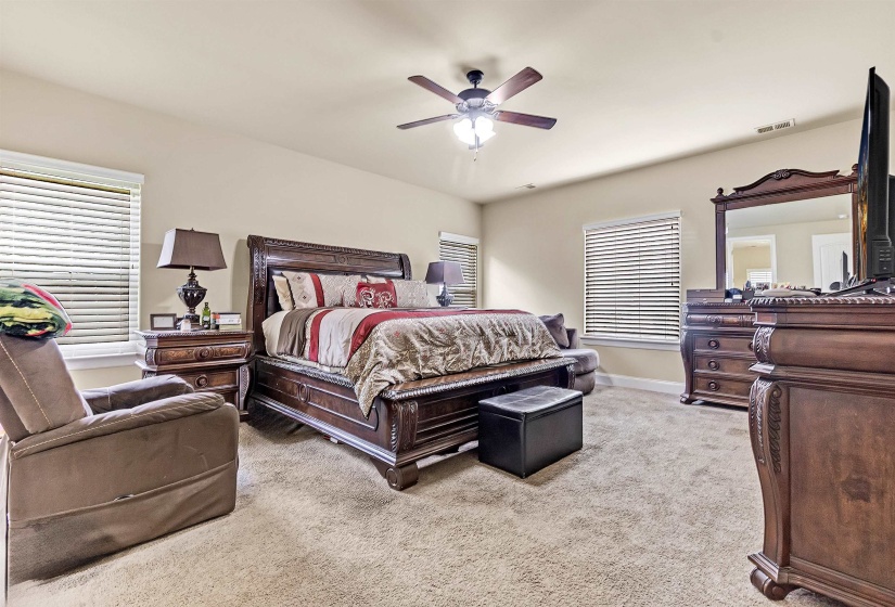 Bedroom featuring visible vents, baseboards, a ceiling fan, and carpet floors