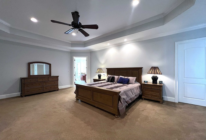 Bedroom with a tray ceiling, ornamental molding, carpet floors, recessed lighting, and a ceiling fan