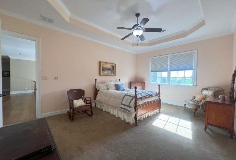 Carpeted bedroom with crown molding, visible vents, baseboards, and a raised ceiling