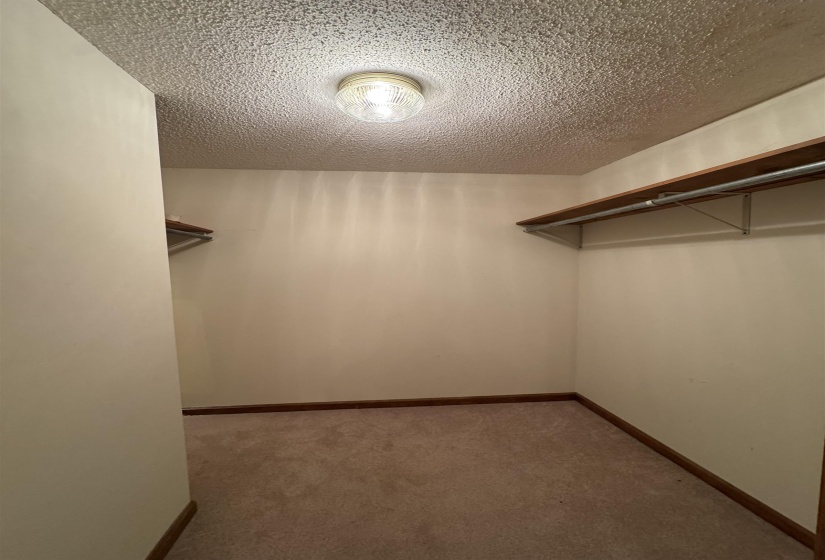 Walk in closet featuring carpet floors