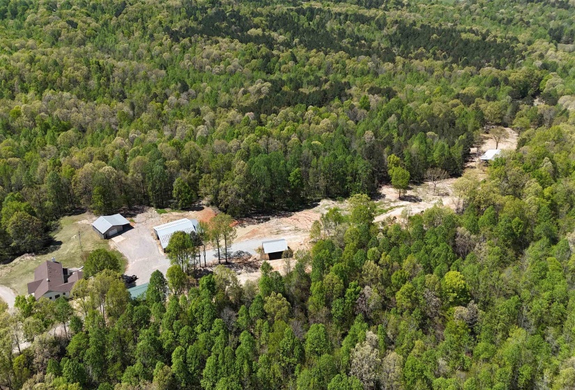 3360 EBENEZER RD RD, Toone, Tennessee 38381, 5 Bedrooms Bedrooms, 5 Rooms Rooms,4 BathroomsBathrooms,Residential,For Sale,EBENEZER RD,10196033