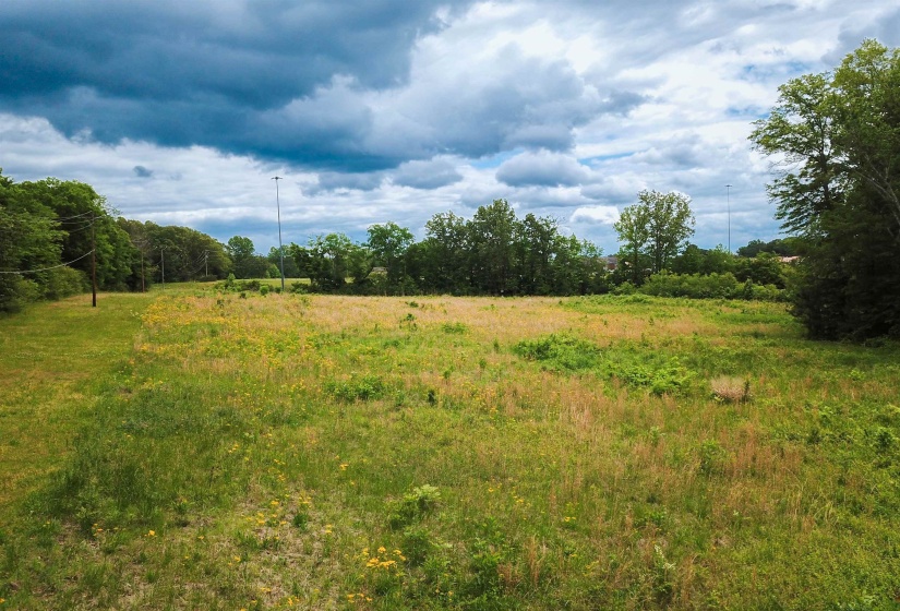 View of nature