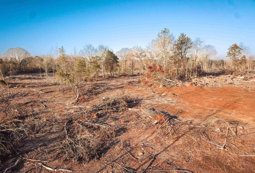 View of undeveloped land