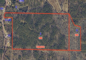 COUNTY 4141 RD, New Site, Mississippi 38859, ,Land,For Sale,COUNTY 4141,10196128 COUNTY 4141 RD, New Site, Mississippi 38859, ,Land,For Sale,COUNTY 4141,10196128