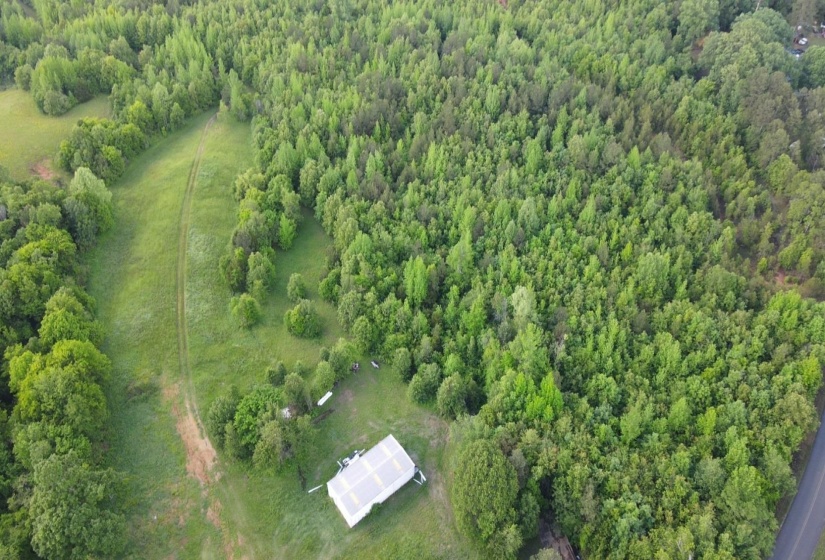 00 HINES GIN RD, Selmer, Tennessee 38375, ,Land,For Sale,HINES GIN,10196380