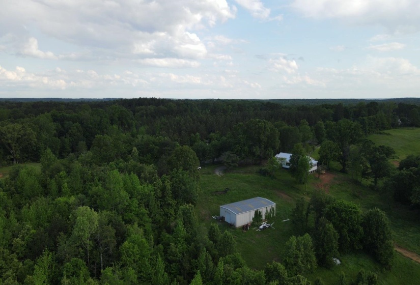 00 HINES GIN RD, Selmer, Tennessee 38375, ,Land,For Sale,HINES GIN,10196380