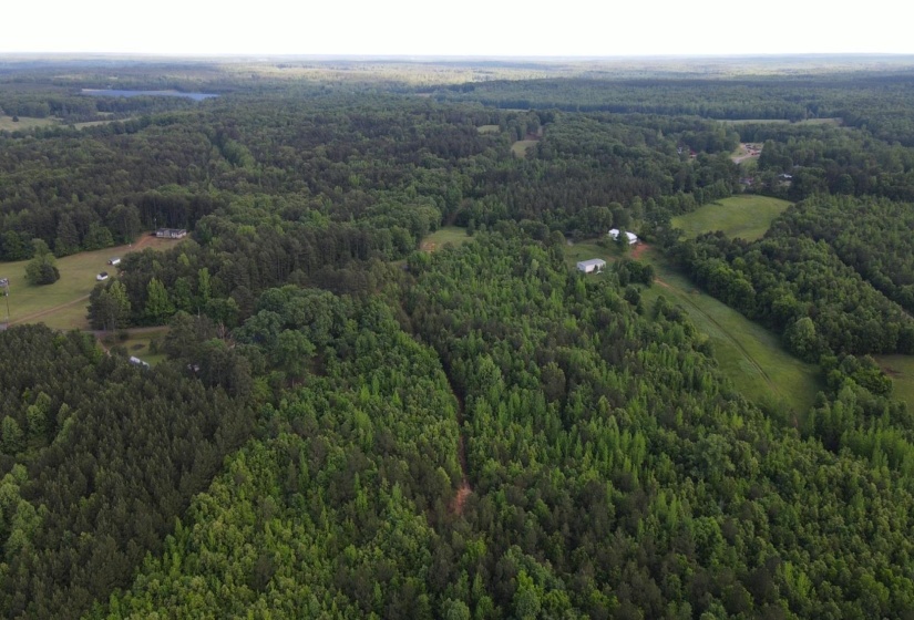 00 HINES GIN RD, Selmer, Tennessee 38375, ,Land,For Sale,HINES GIN,10196380