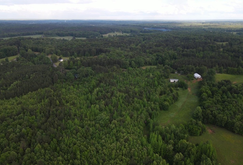 00 HINES GIN RD, Selmer, Tennessee 38375, ,Land,For Sale,HINES GIN,10196380