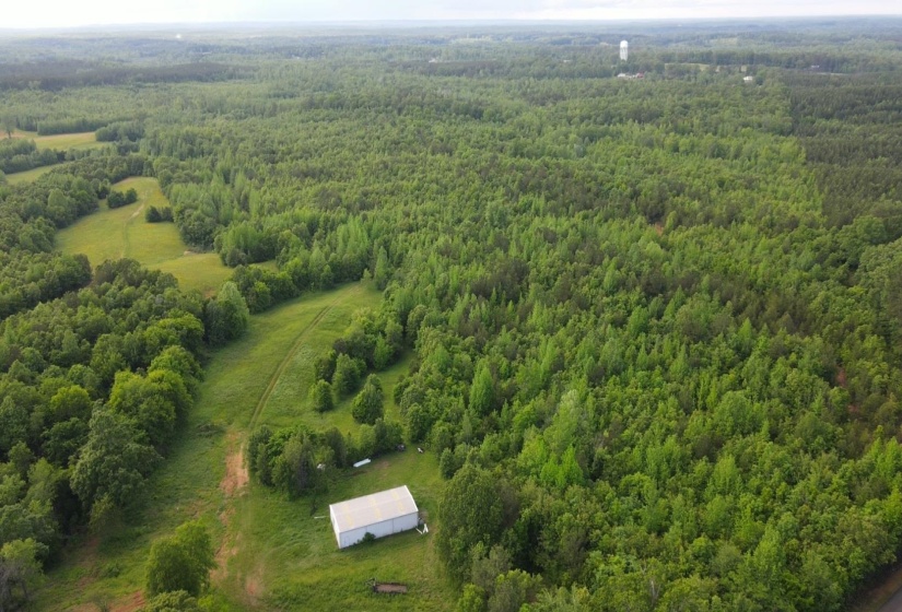 00 HINES GIN RD, Selmer, Tennessee 38375, ,Land,For Sale,HINES GIN,10196380