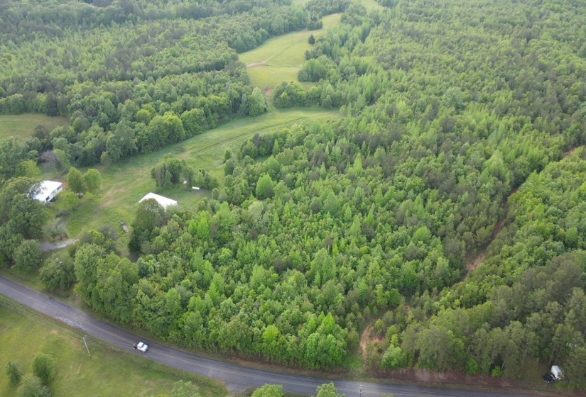 00 HINES GIN RD, Selmer, Tennessee 38375, ,Land,For Sale,HINES GIN,10196380