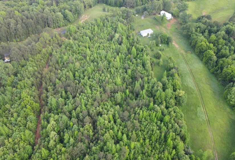 00 HINES GIN RD, Selmer, Tennessee 38375, ,Land,For Sale,HINES GIN,10196380
