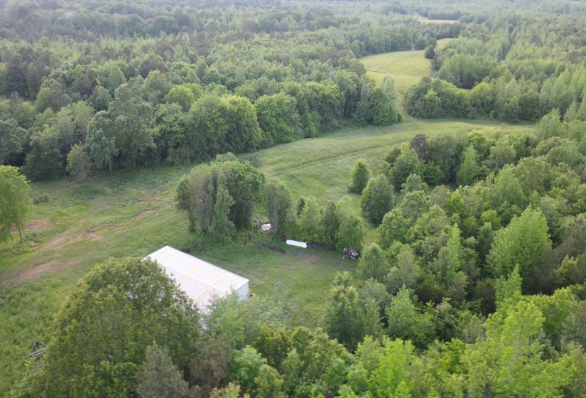 00 HINES GIN RD, Selmer, Tennessee 38375, ,Land,For Sale,HINES GIN,10196380
