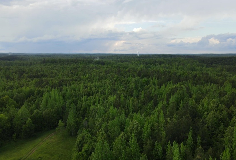00 HINES GIN RD, Selmer, Tennessee 38375, ,Land,For Sale,HINES GIN,10196380
