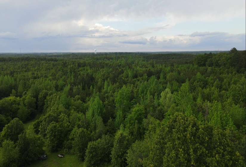 00 HINES GIN RD, Selmer, Tennessee 38375, ,Land,For Sale,HINES GIN,10196380