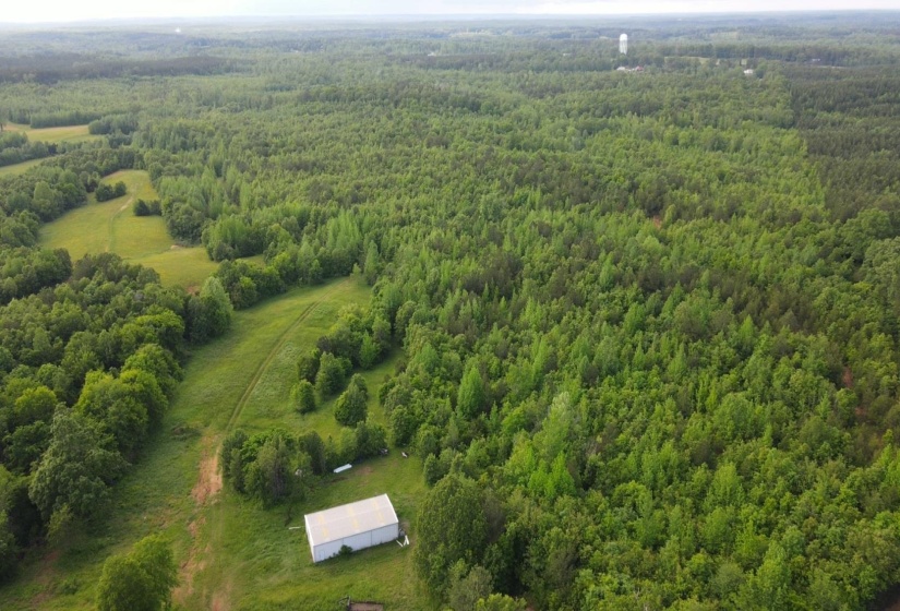 00 HINES GIN RD, Selmer, Tennessee 38375, ,Land,For Sale,HINES GIN,10196380