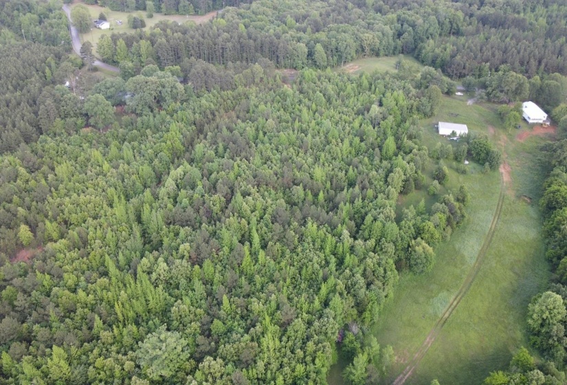 00 HINES GIN RD, Selmer, Tennessee 38375, ,Land,For Sale,HINES GIN,10196380