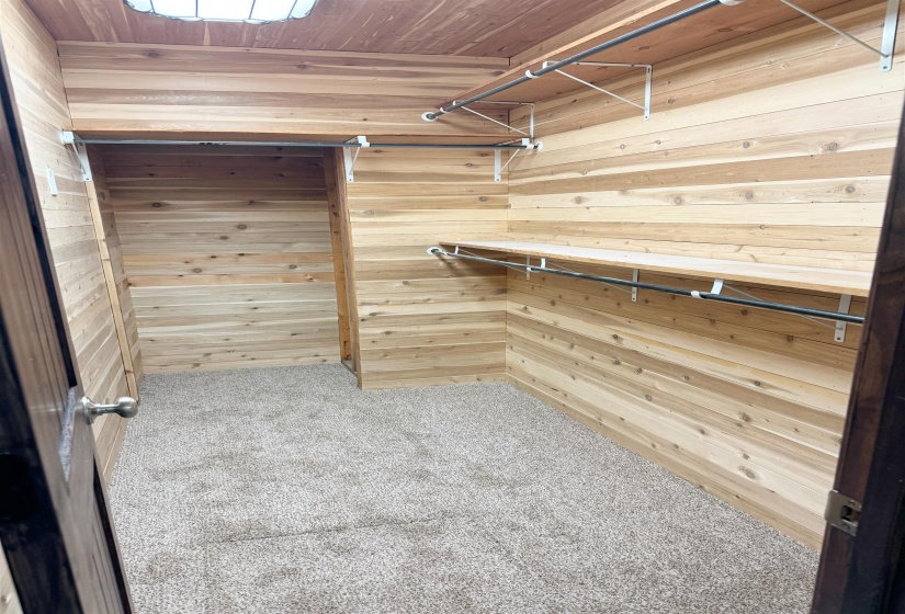 Walk in closet with carpet