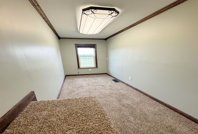 Unfurnished room with ornamental molding, carpet, and baseboards