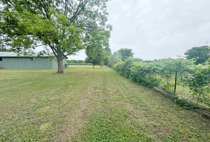 View of grassy yard
