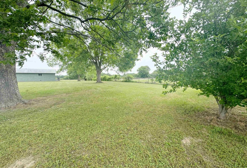 View of grassy yard