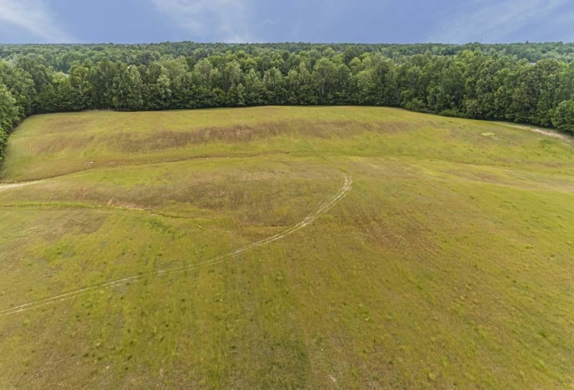 Bird's eye view of a heavily wooded area