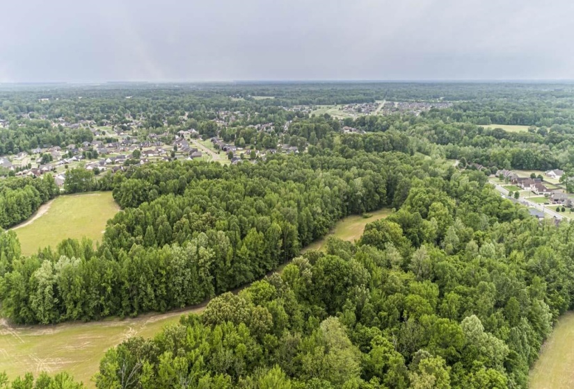 Drone / aerial view of a forest