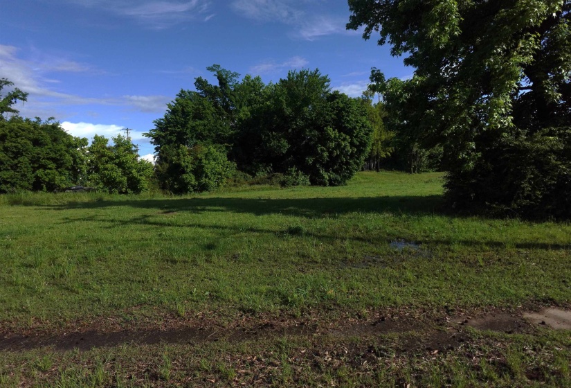 View of wooded area