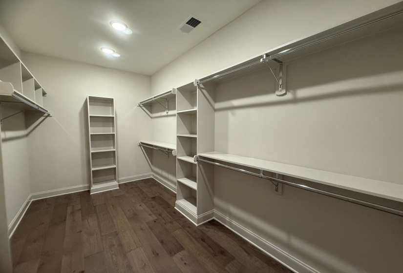 Walk in closet featuring dark wood-style flooring