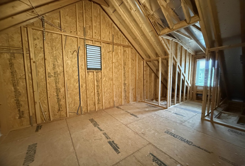 View of unfinished attic