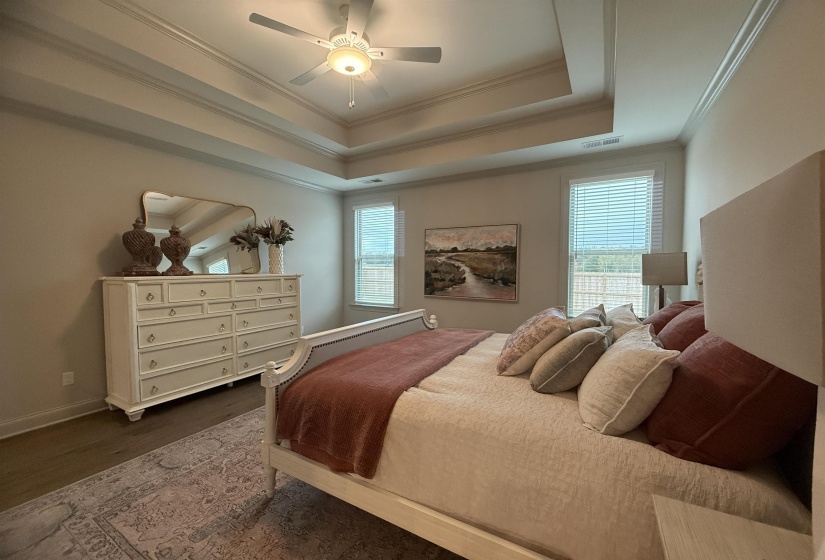 Bedroom with a tray ceiling, crown molding, dark wood-type flooring, ceiling fan, and multiple windows