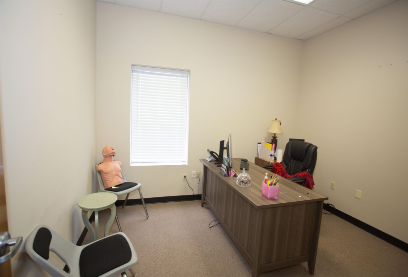 Office featuring a drop ceiling and light colored carpet