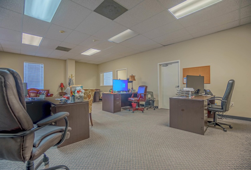 Carpeted office space with a drop ceiling and a healthy amount of sunlight