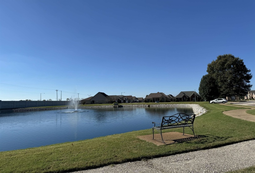 Water view around walking trail